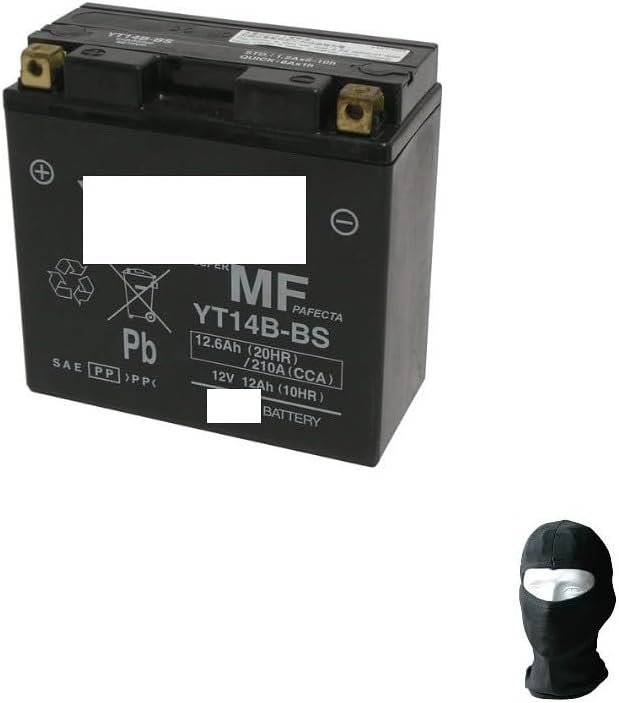 Compatible with Yamaha XVS Drag Star Classic/V Star Classic 1100 2000-2007 YT14B-BS Yuasa battery (activated sealed ready factory sealed) 12 V/12 Ah batteries for motorcycle scooter specifications Compatible with Yamaha XVS Drag Star Classic/V Star Classic 1100 2000-2007 YT14B-BS Yuasa battery (activated sealed ready factory sealed) 12 V/12 Ah batteries for motorcycle scooter specifications